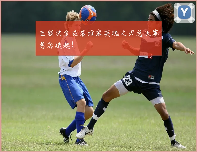 巨额奖金花落谁家英魂之刃总决赛悬念迭起！